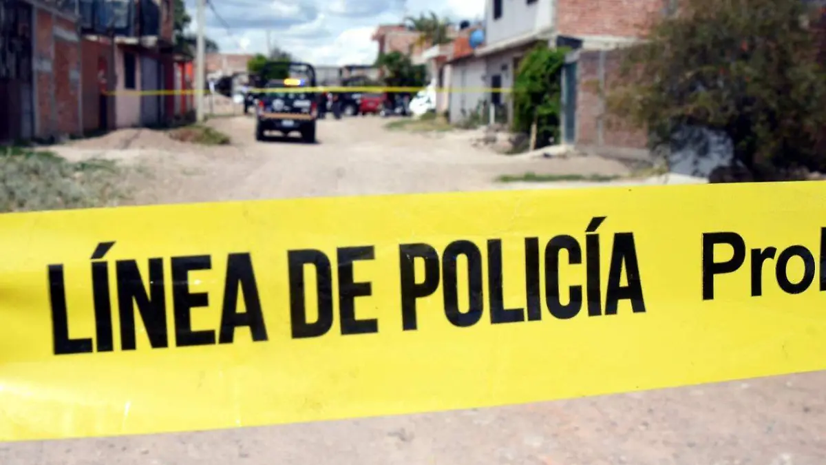 WhatsApp Image 2021-06-21 at 3.49.05 PM