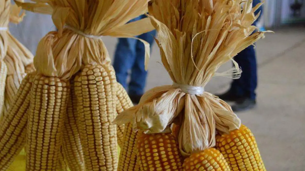 Image 2022-01-06 at 5.57.47 PM