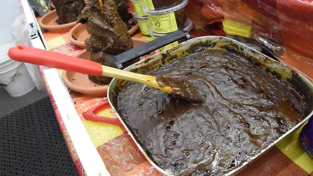 Se-inspira-en-Como-agua-para-chocolate-para-crear-mole2