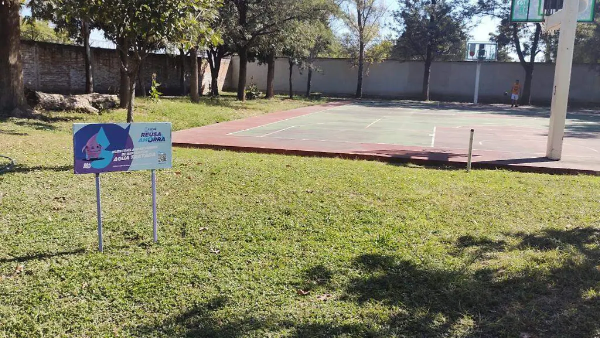 Tubería-morada-Sapal-3