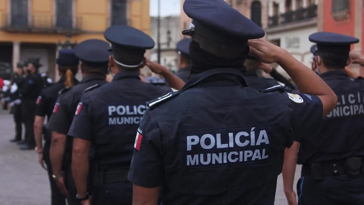 FCO MEZA - DEPURACION POLICIACA (2)