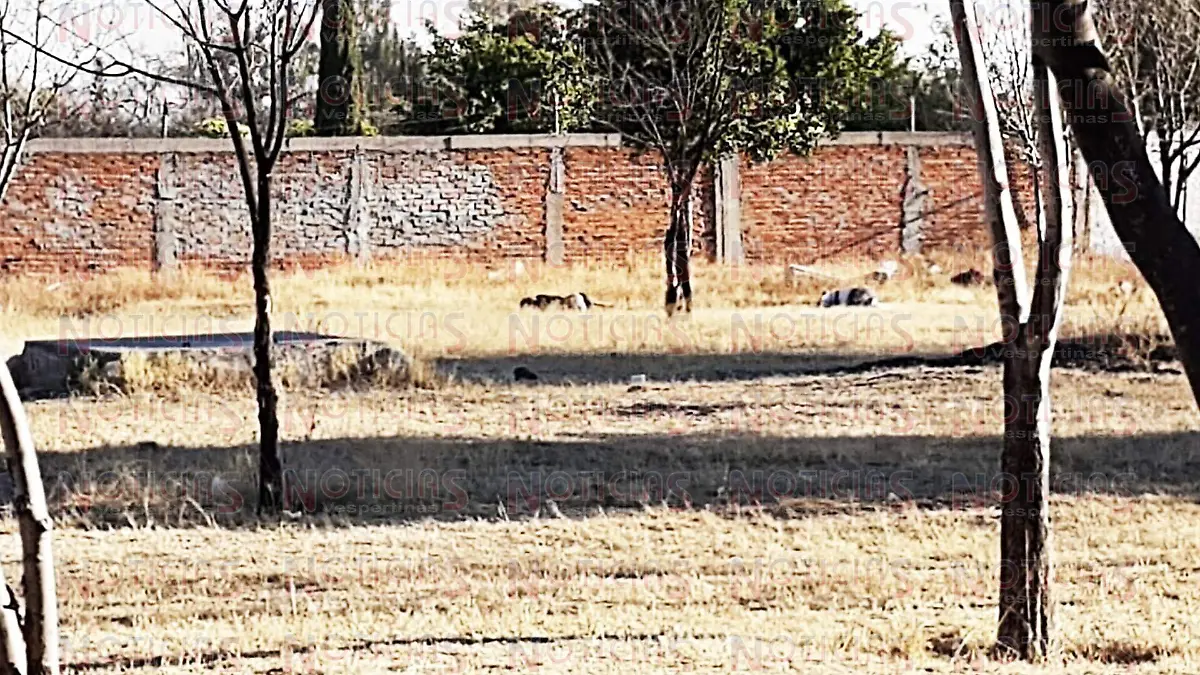 WhatsApp Image 2020-02-25 at 8.49.57 AM