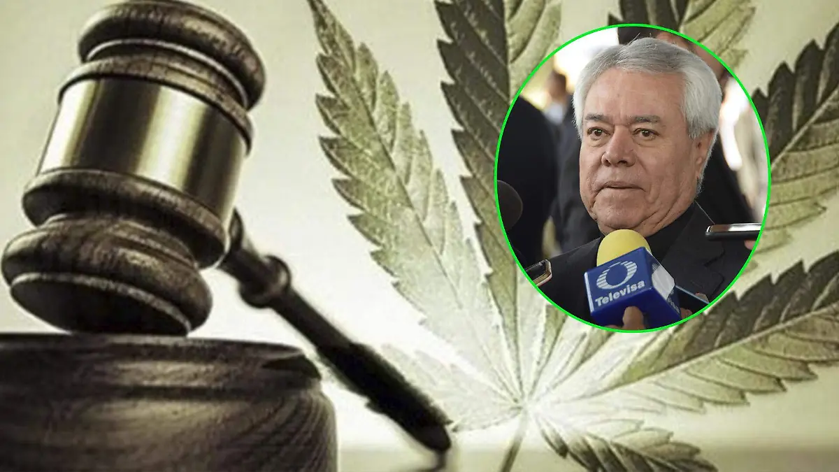f carmona arzo (2)