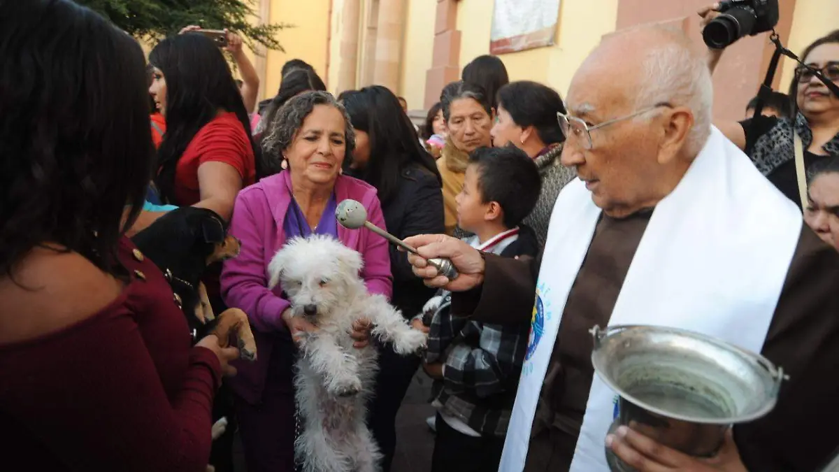 Image 2020-01-17 at 6.54.10 PM