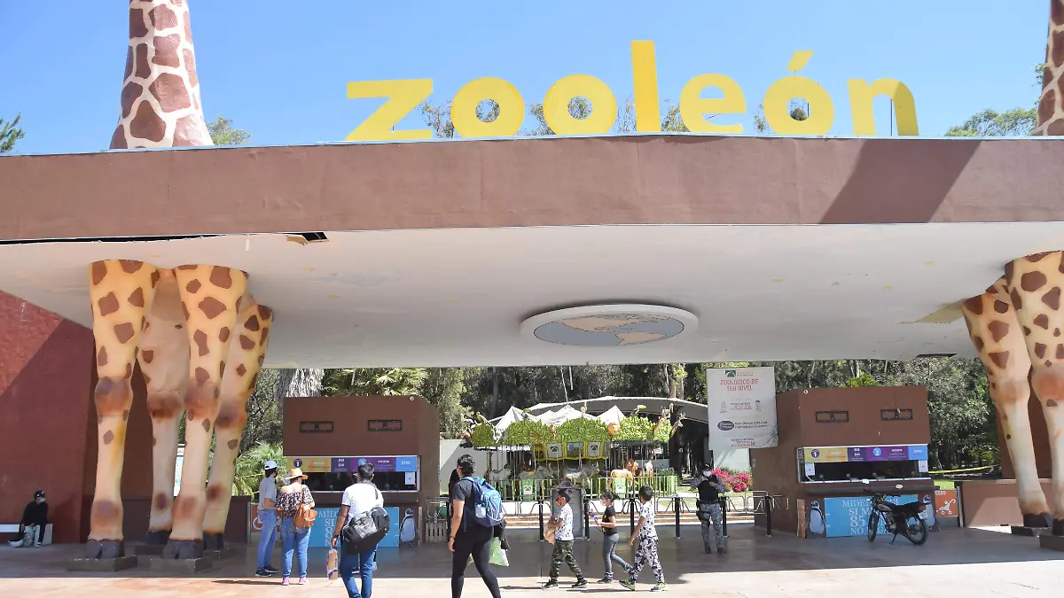 1f carmona  zoologico (1)