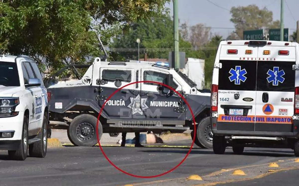 WhatsApp Image 2021-02-24 at 5.12.37 PM