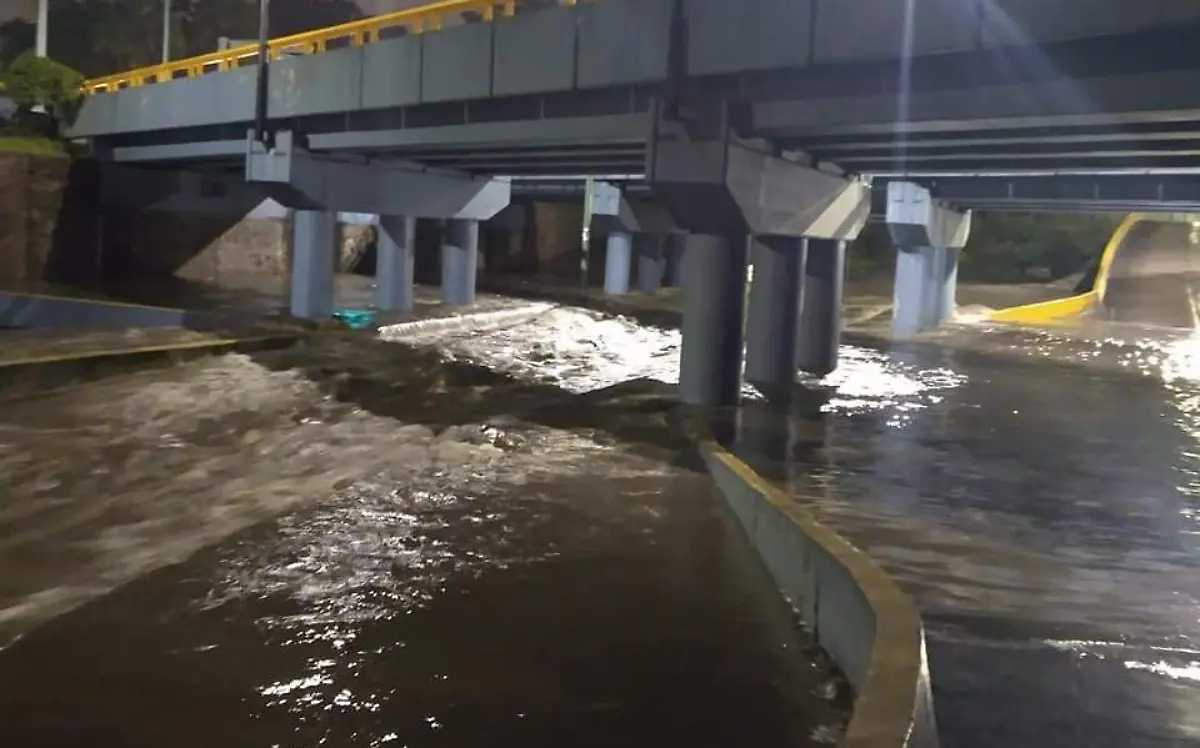 WhatsApp Image 2021-09-01 at 4.44.25 AM