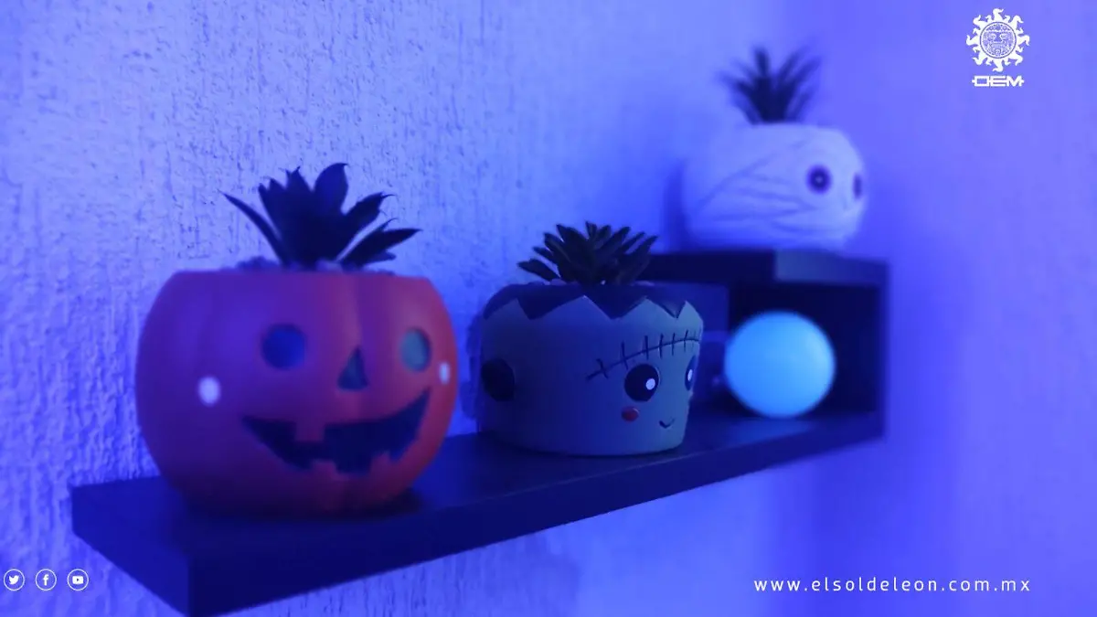 Casa-adornada-Día-de-Muertos (8)