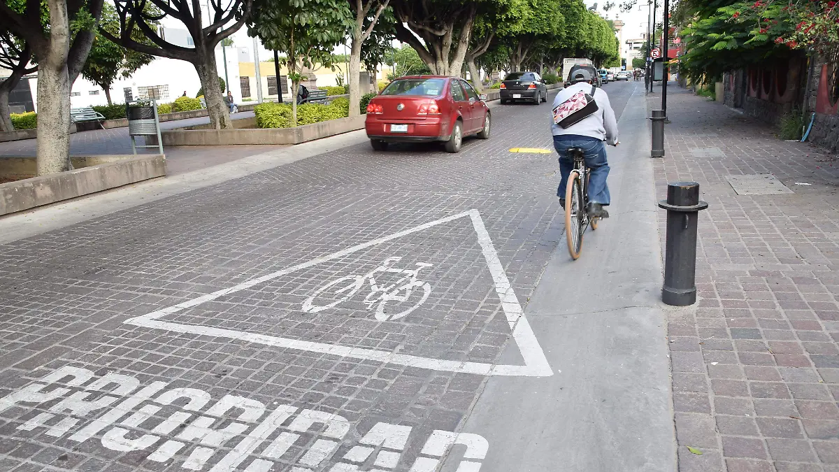 f carmona bici publica (5)