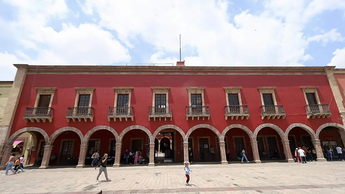 Heces-de-palomas-dañan-monumentos-en-León (9)