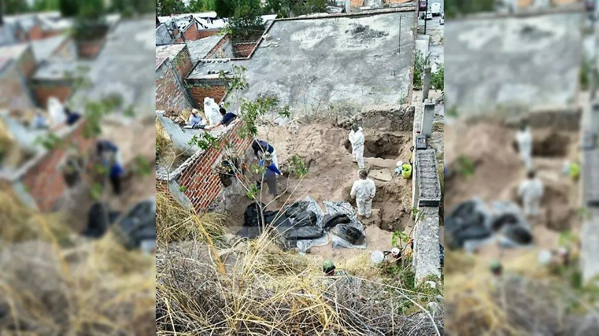 WhatsApp Image 2020-12-22 at 12.35.52 PM