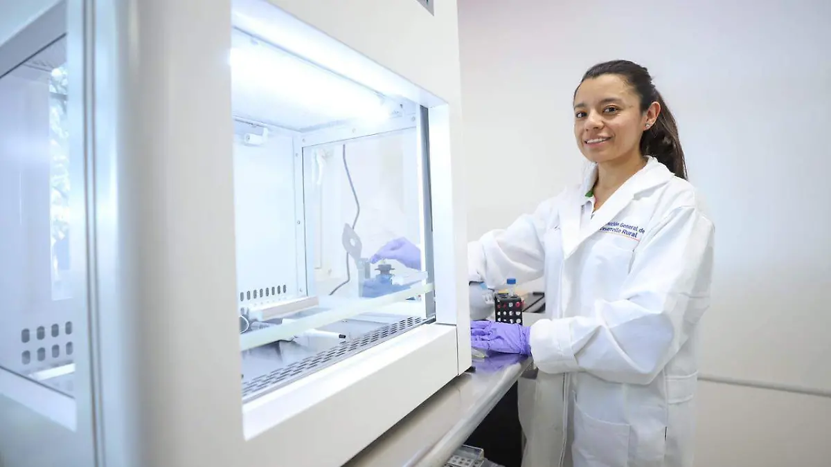 aglolab alcalde (1)