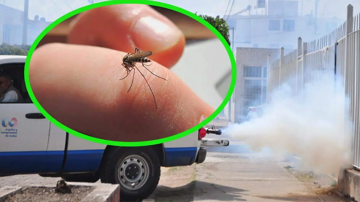 WhatsApp Image 2020-07-21 at 7.09.50 PM