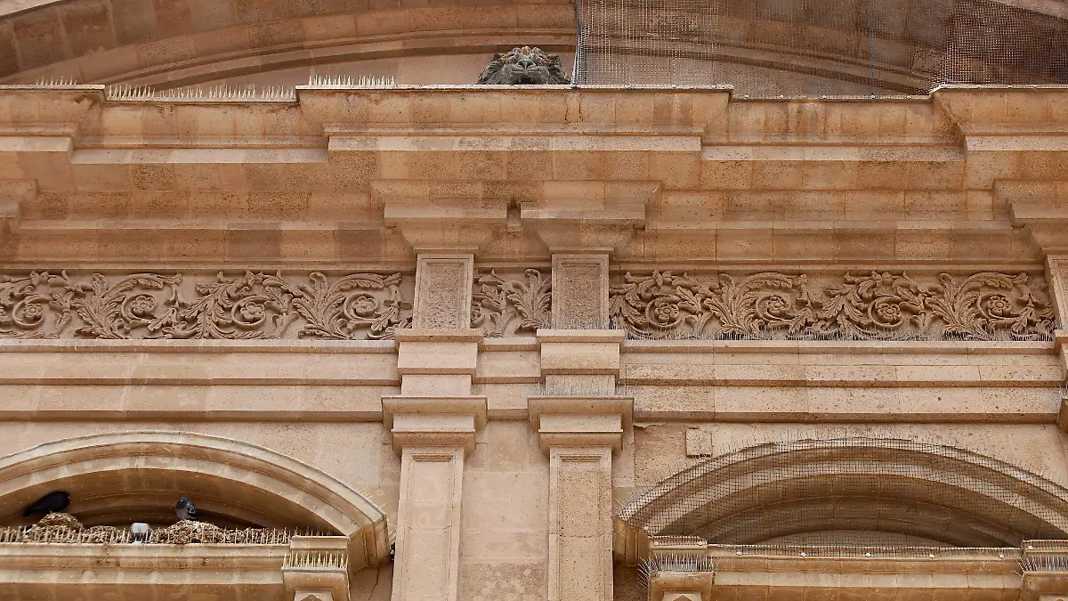 Heces-de-palomas-dañan-monumentos-en-León (1)