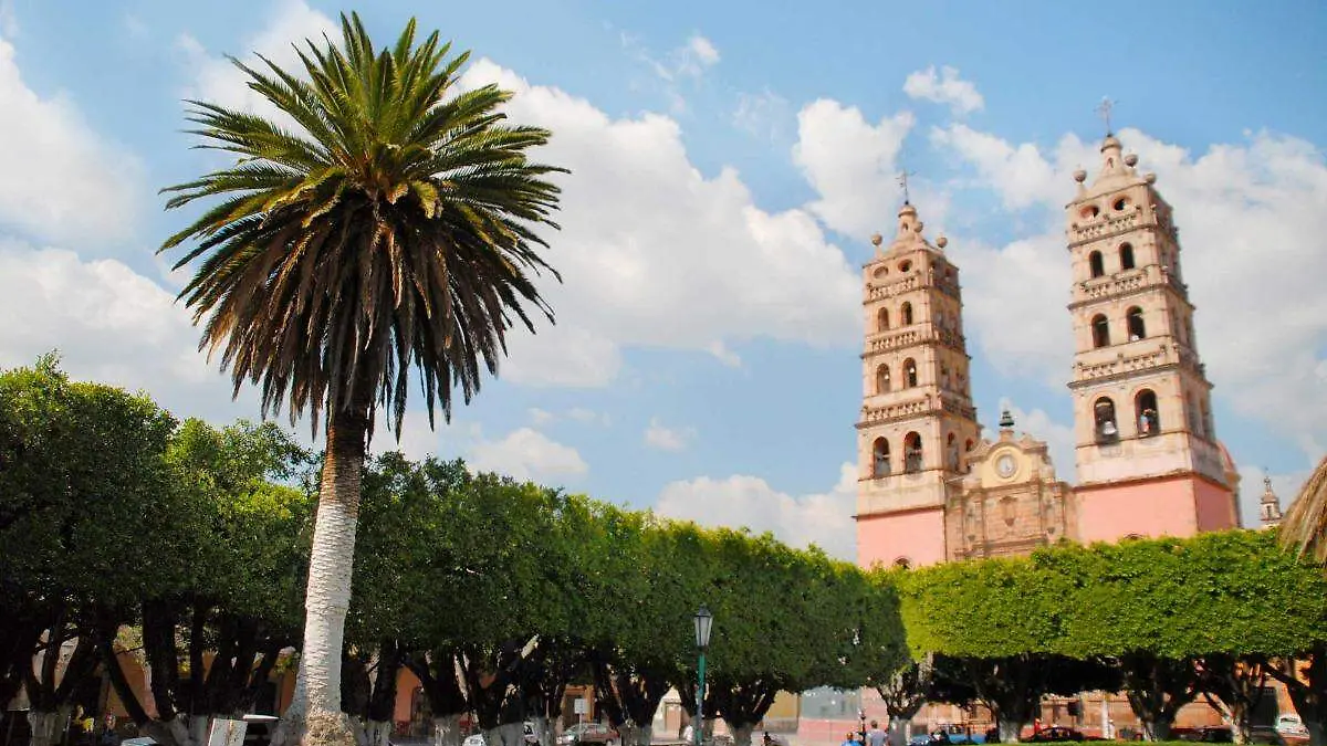 resized-image-Promo (2)