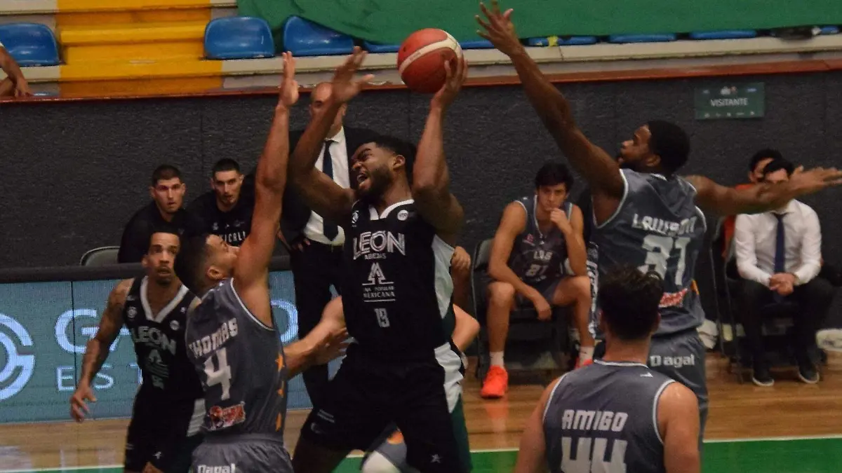 F CARMONA ABEJAS (1)