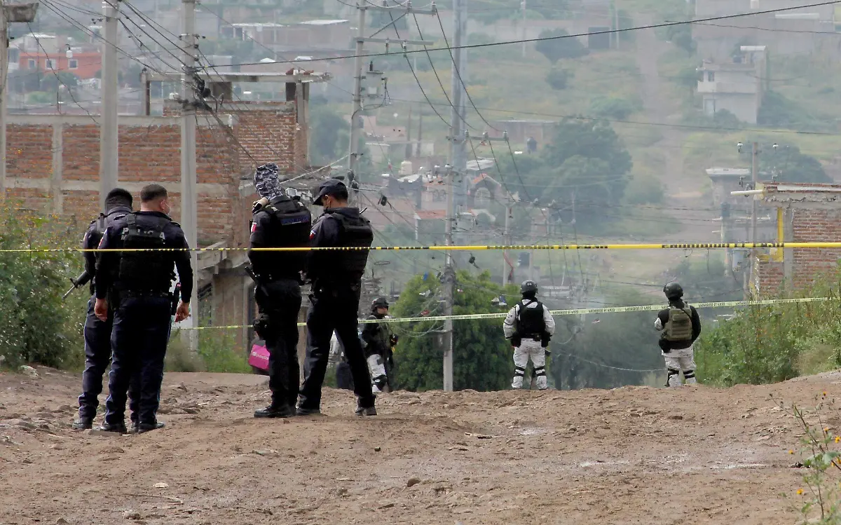 FCO MEZA - SEGURIDAD (2)