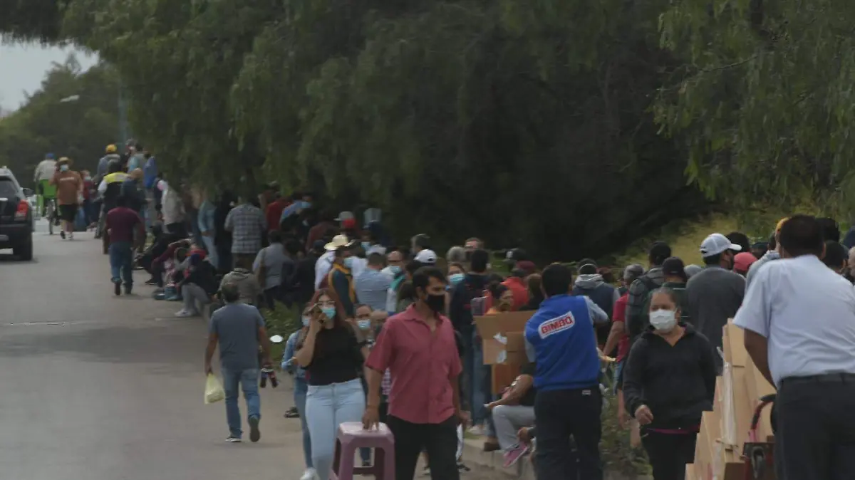 vacunacion-en-irapuato (2)