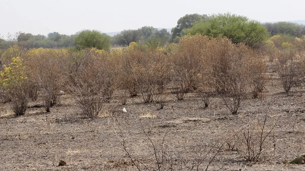 DIFICIL PANORAMA (4)