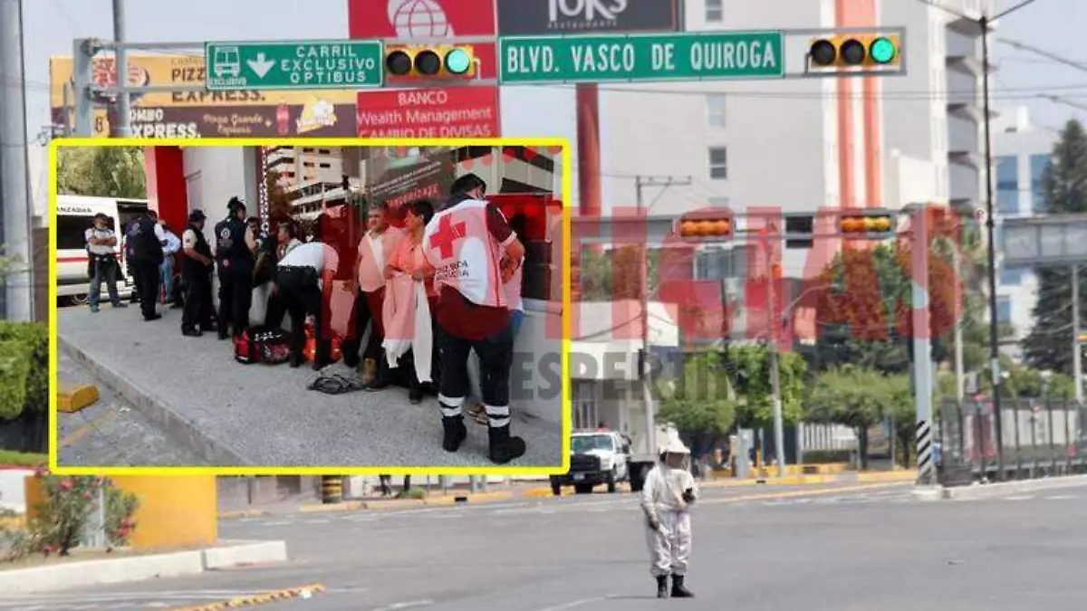 WhatsApp Image 2020-03-21 at 2.17.14 PM