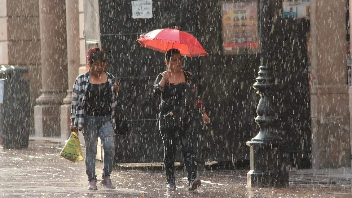 WhatsApp Image 2021-05-11 at 12.56.02 PM