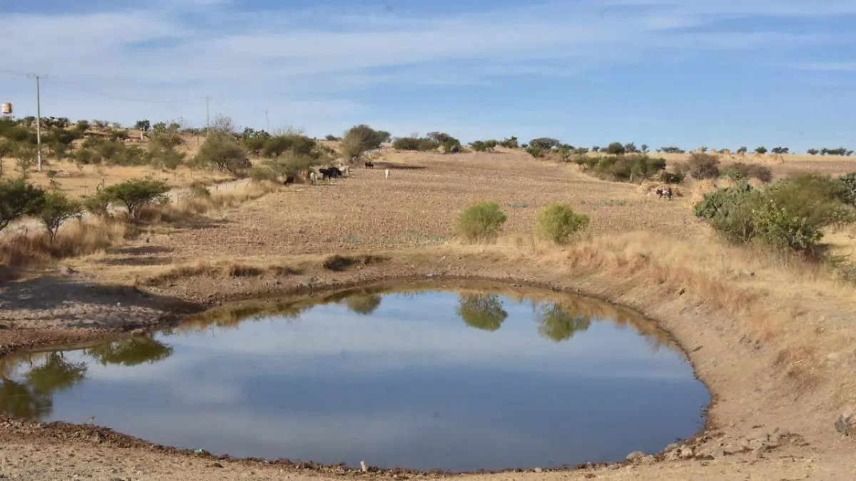 Image 2021-05-18 at 7.24.57 PM