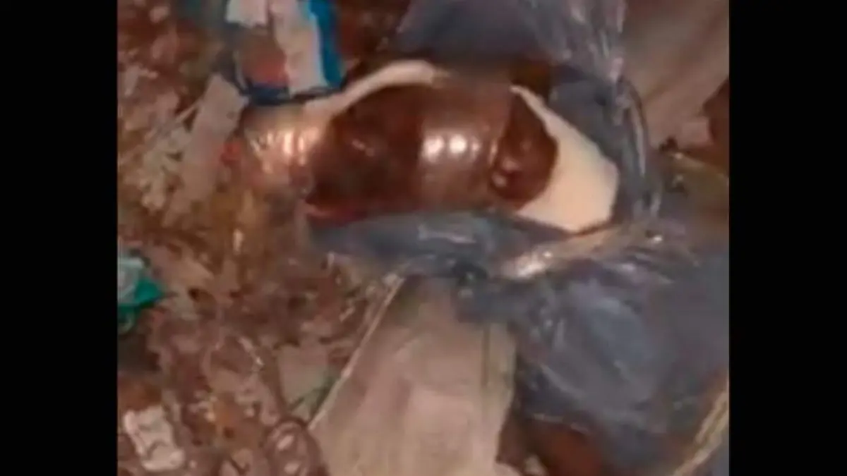 Maltrato animal Torreón