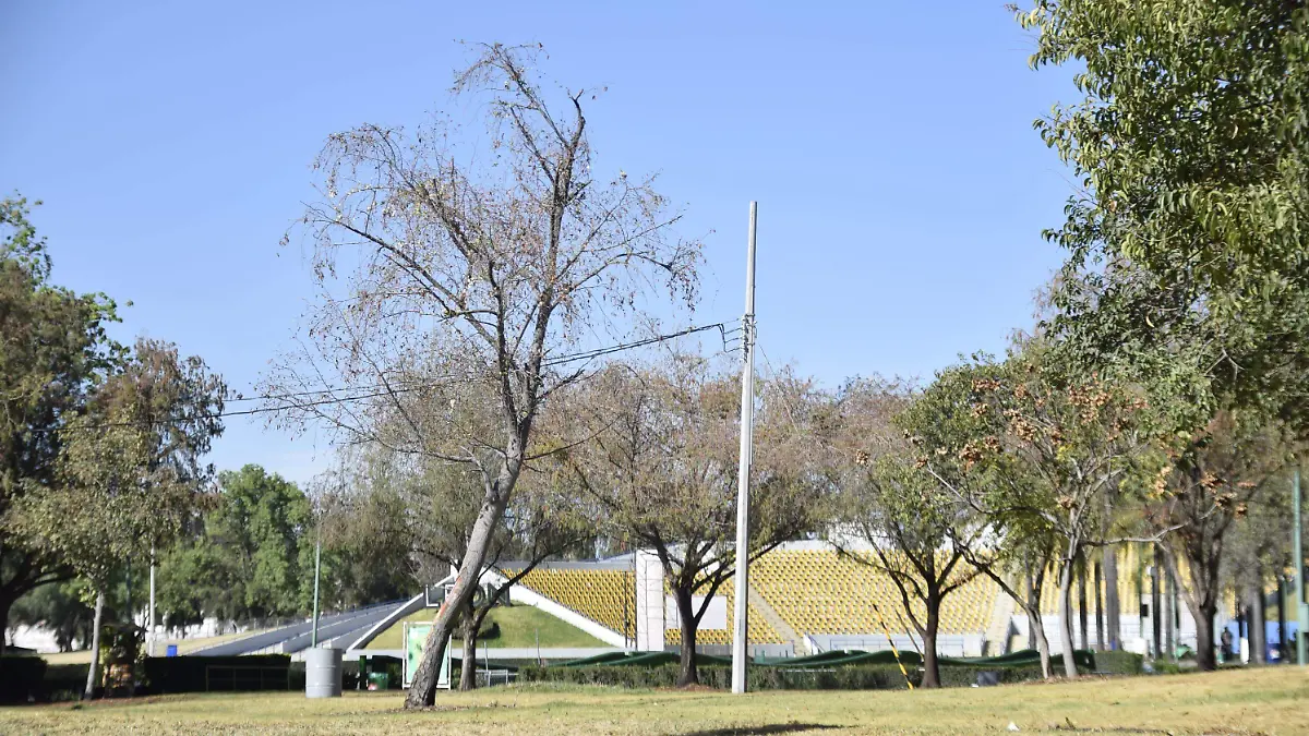 Áreas-verdes-de-Explora-2