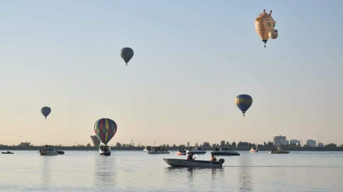 f carmona fig oem (2)