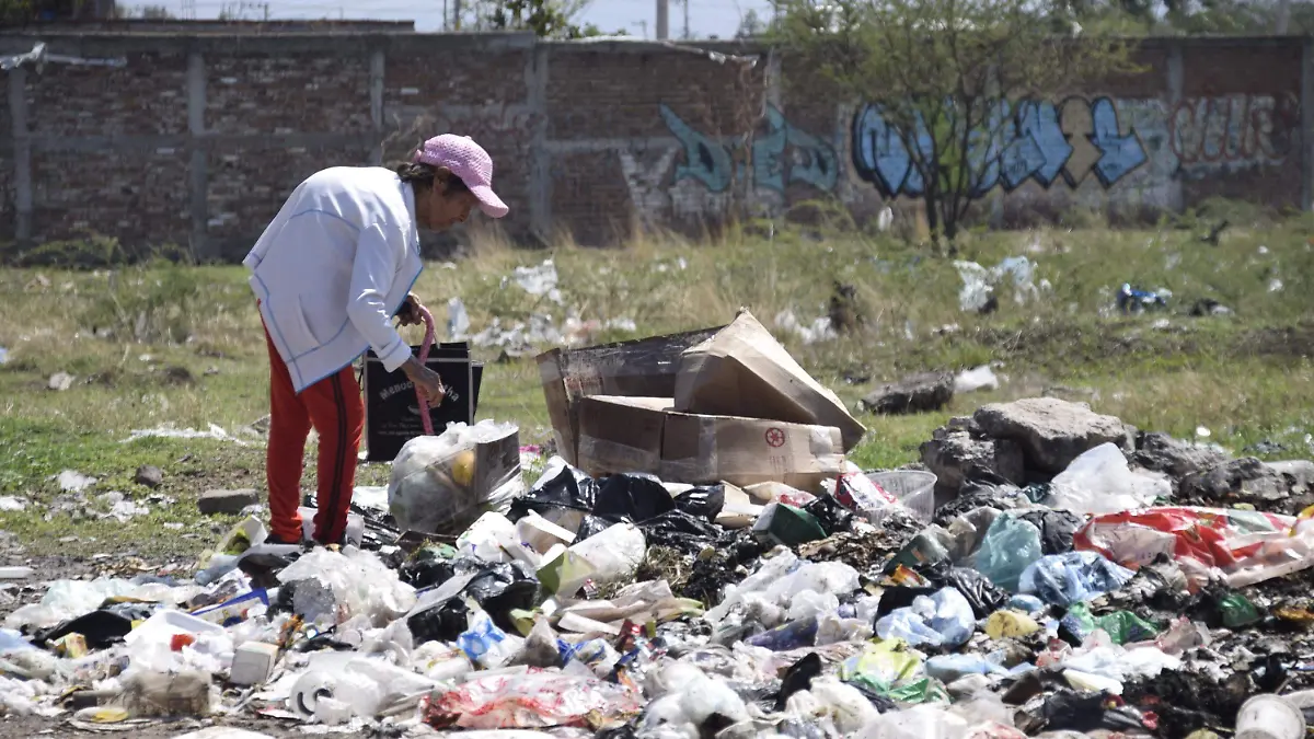 BASURA (3)
