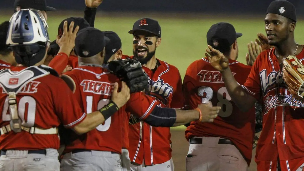 WhatsApp Image 2018-11-07 at 7.45.55 PM