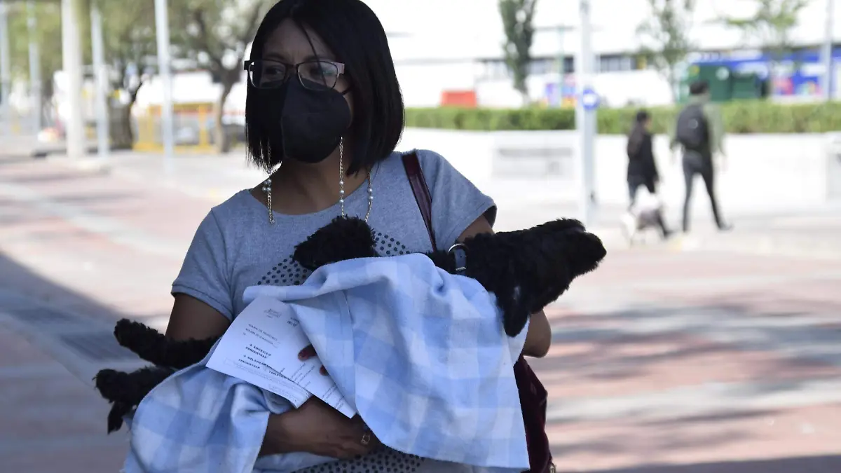 Esterilización-2
