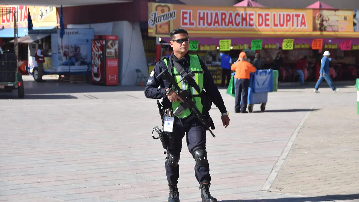 f carmona  seguridad (1)