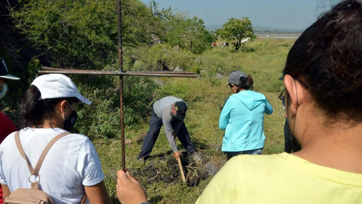 células-de-búsqueda (1)