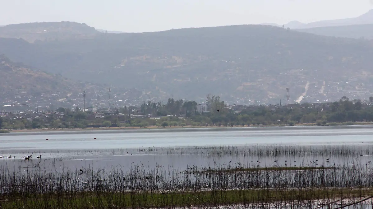 FCO MEZA - PRESA (2)