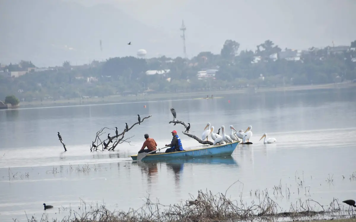 f carmona pescadores (6)
