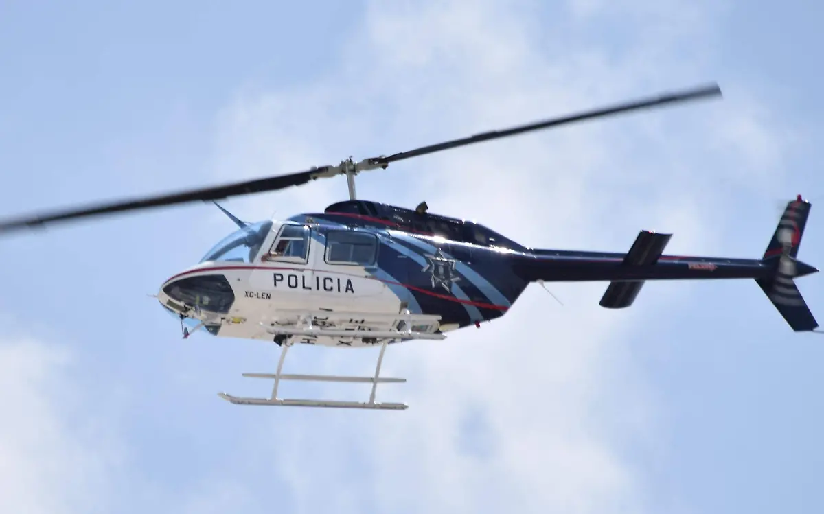 FCO CARMONA-HALCON (2)