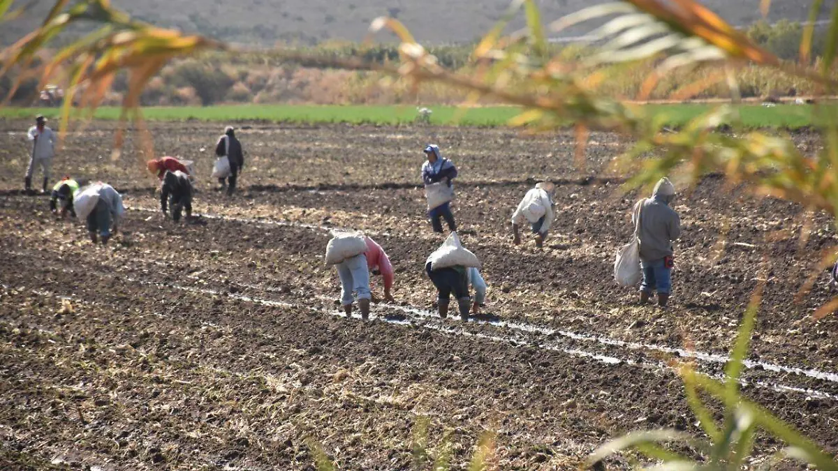 Sortean-guanajuatenses-crisis-con-remesas2