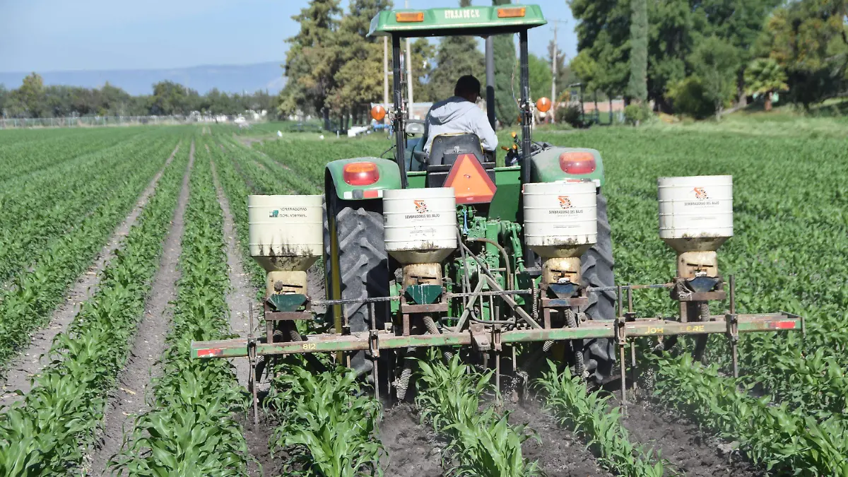 F.CARMONA - CENSO AGROPECUARIO 3