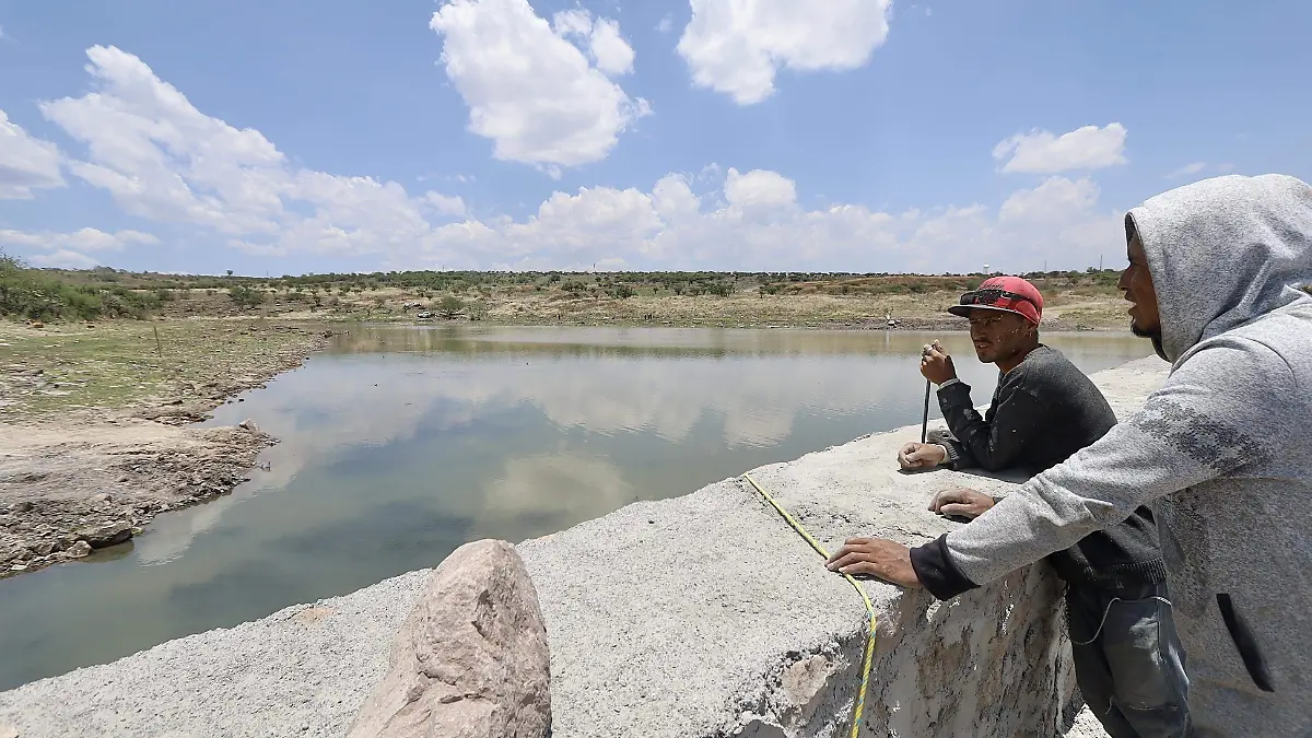 Cocodrilo-en-presa-de-León-2