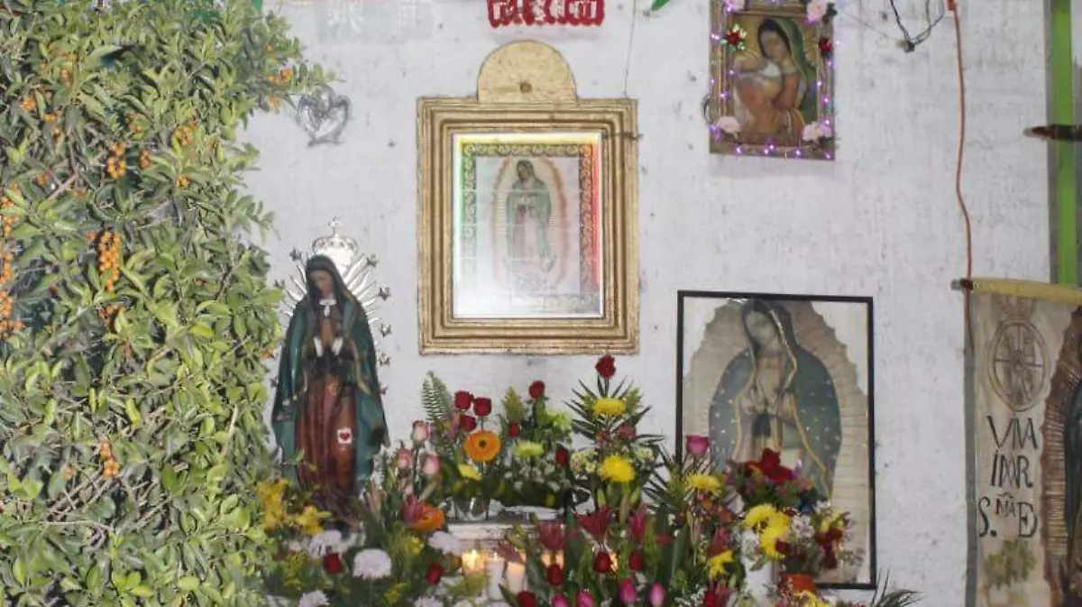 Image 2019-12-12 at 7.33.01 AM