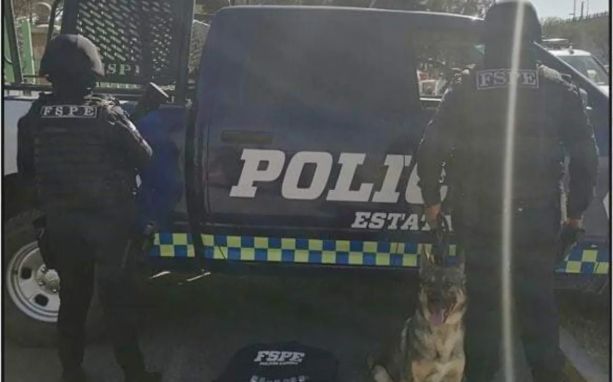 DROGA SILAO CORTESIA FSPE (1)