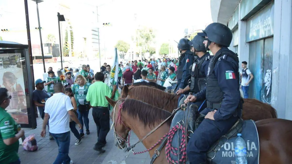 WhatsApp Image 2019-05-19 at 6.04.25 PM