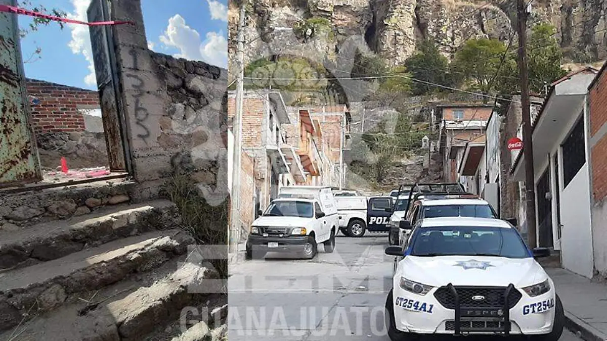 WhatsApp Image 2020-12-02 at 2.20.33 PM