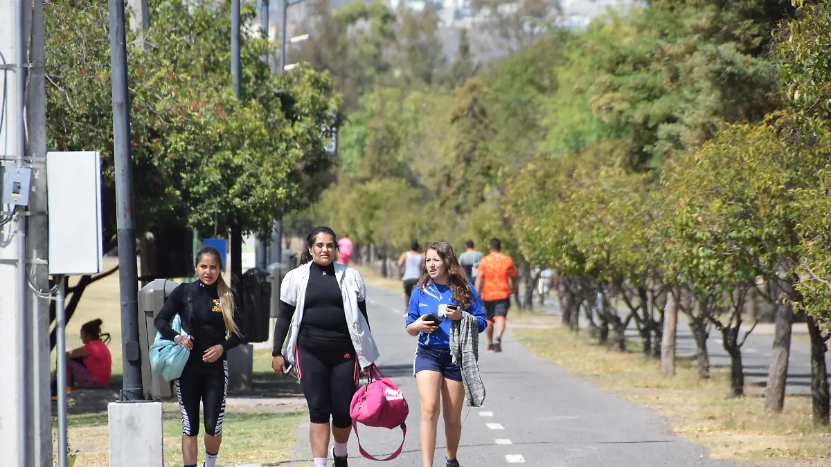 F CARMONA NUTRIOLOGA (2)