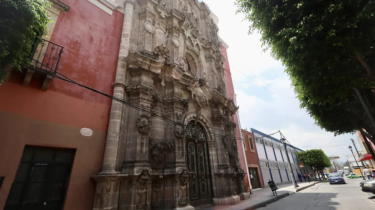 Heces-de-palomas-dañan-monumentos-en-León (14)