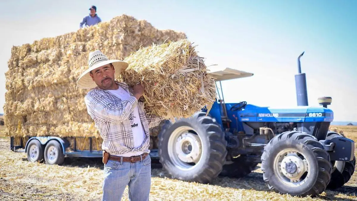 F.CARMONA - CENSO AGROPECUARIO 1