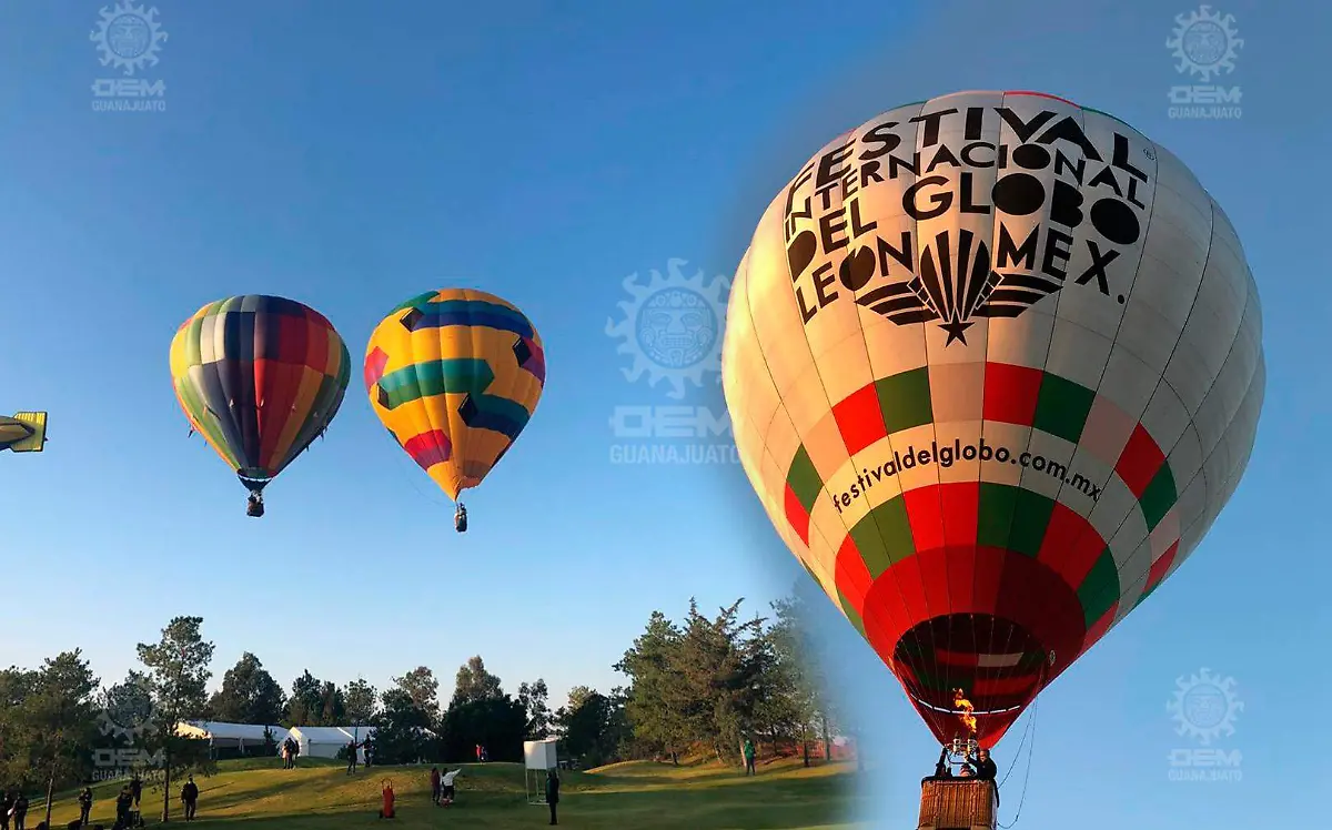 WhatsApp Image 2020-11-13 at 10.46.00 AM