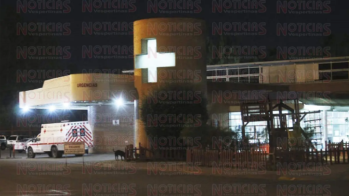 WhatsApp Image 2019-05-15 at 7.10.50 AM