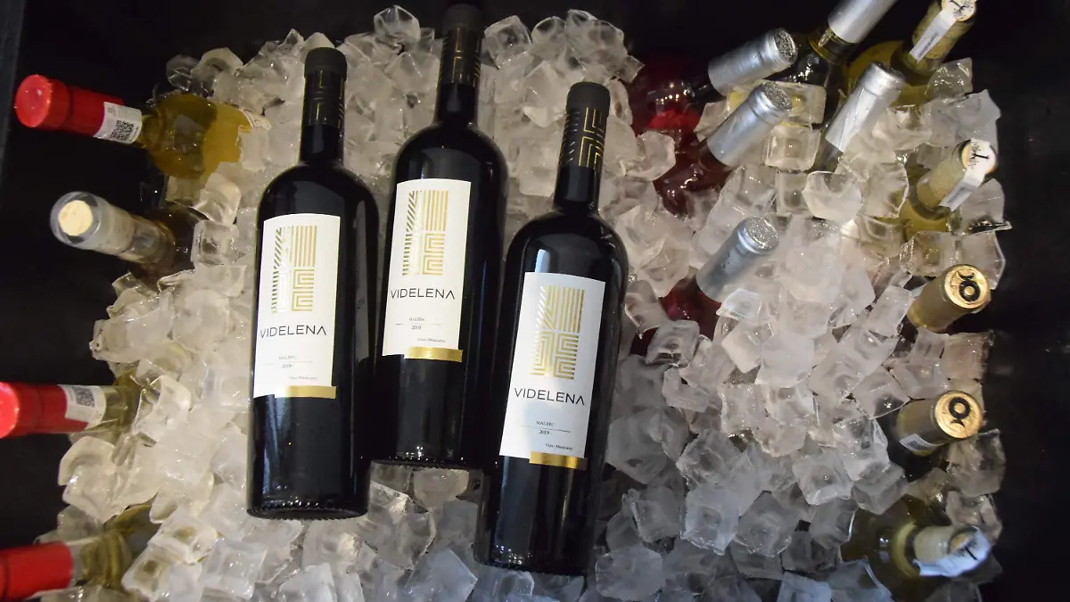 F CARMONA VENDIMIA (2)